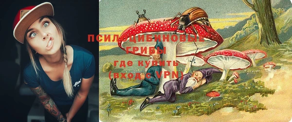 соль ск Бугульма